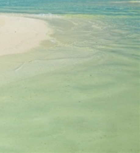 粉象生活邀请码