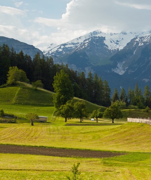 亳州粉象生活app