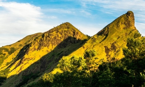 粉象生活游戏视频