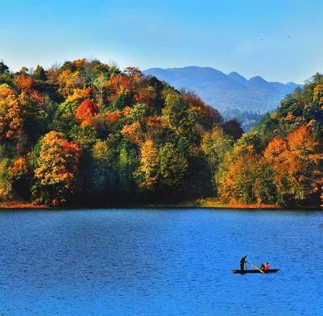 粉象生活粉丝怎么增加