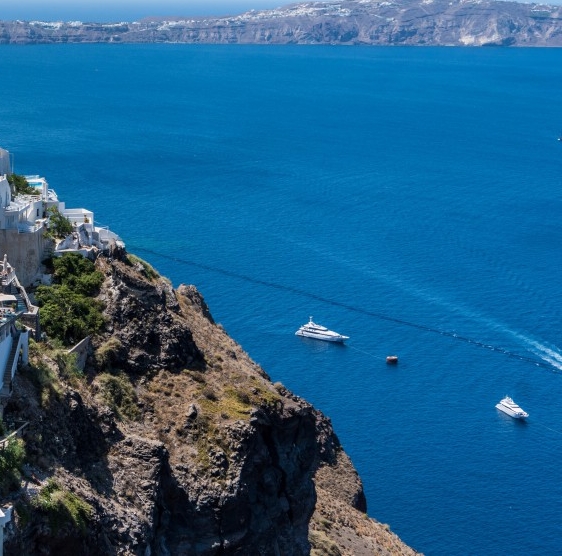 茂名粉象生活合伙人
