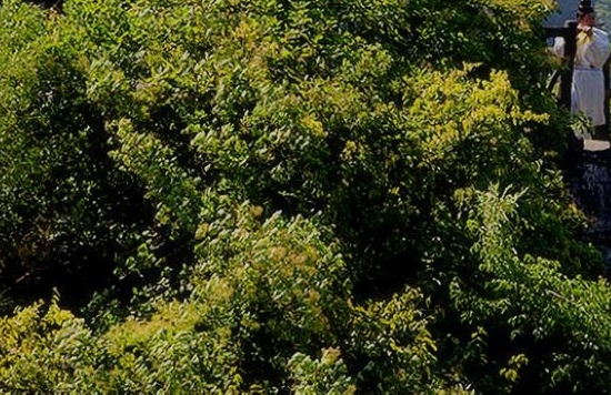 新手粉象生活怎么赚钱