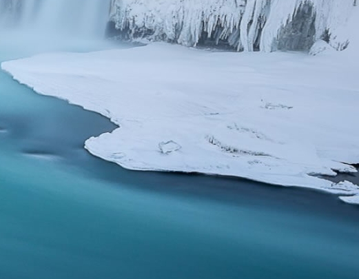 粉象生活下载app