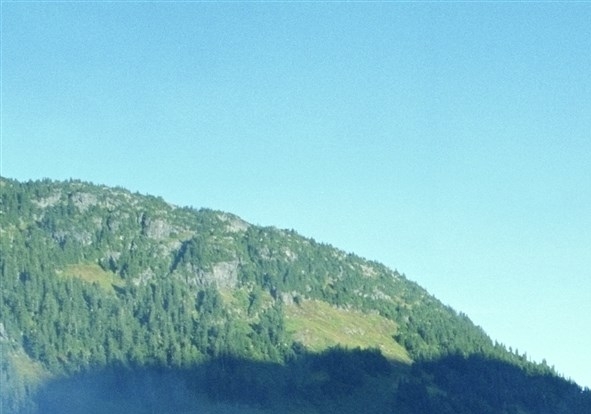 粉象生活邀请码