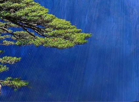 粉象生活粉丝怎么增加