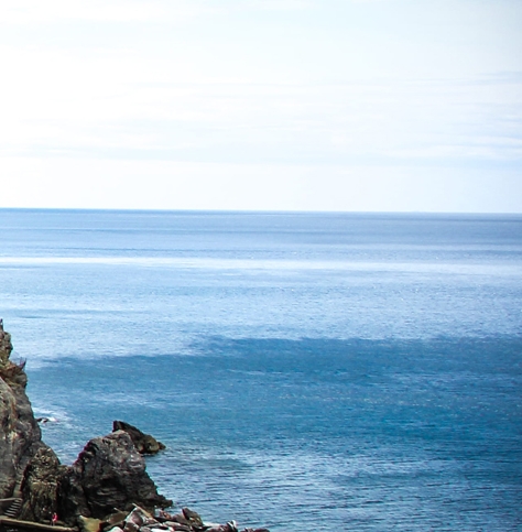 怎么在粉象生活下单购买
