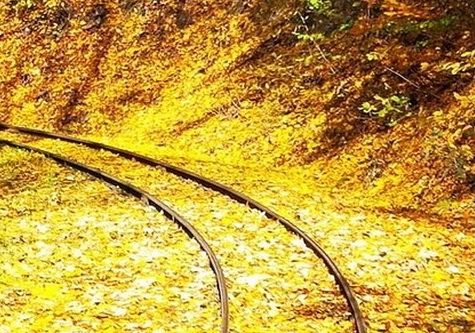 粉象生活享受几级代理佣金