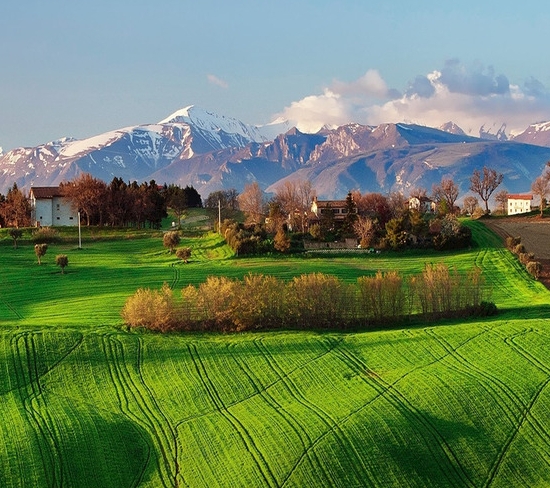 粉象生活邀请人牛X码