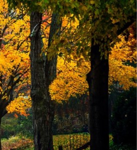 高省和粉象生活哪个好