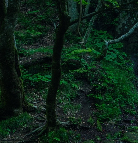 会生活的人怎么过性生活