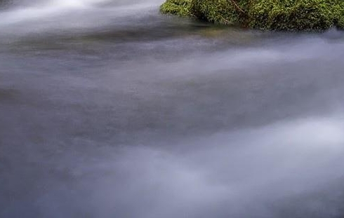 粉象生活怎么赚钱的