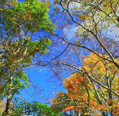 注册粉象生活有风险吗