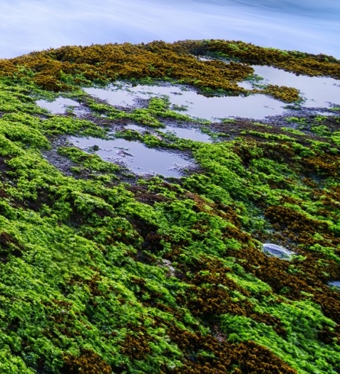 粉象生活邀请码