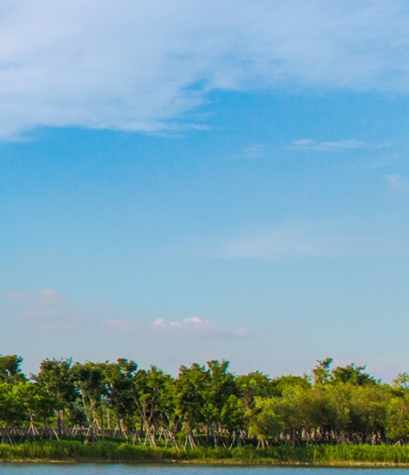 粉象生活怎么开展