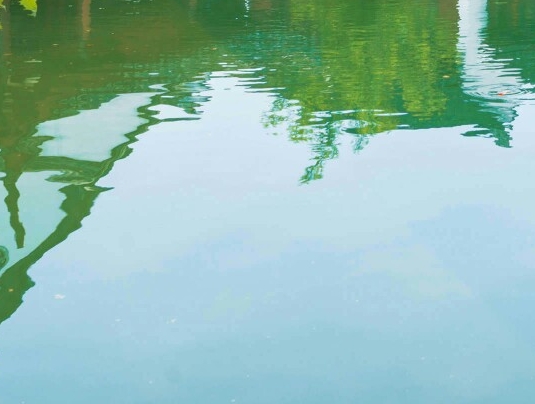 粉象断头台啤酒怎么样