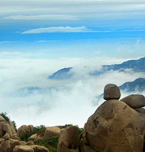 粉象生活一共几级代理