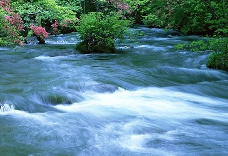 粉象生活推广一个人赚多少钱