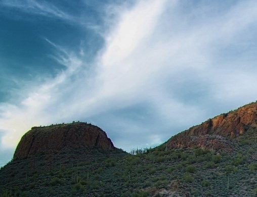 粉象生活下载app