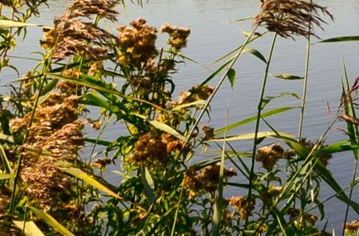 粉象生活如何取消收货