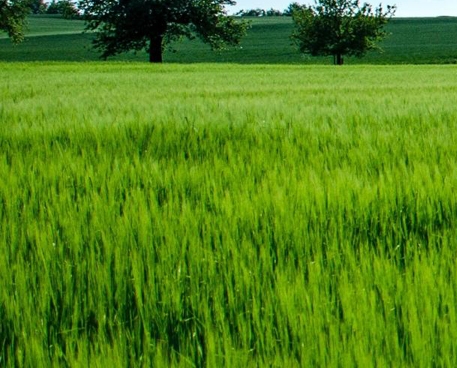 粉象生活商家怎么发布商品