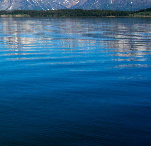 粉象生活怎么关闭直播