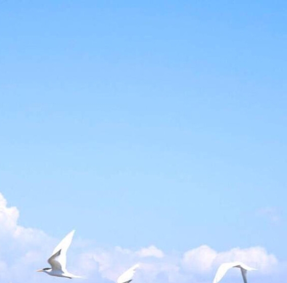 粉象生活是返利网吗