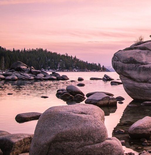 明星直播粉象生活