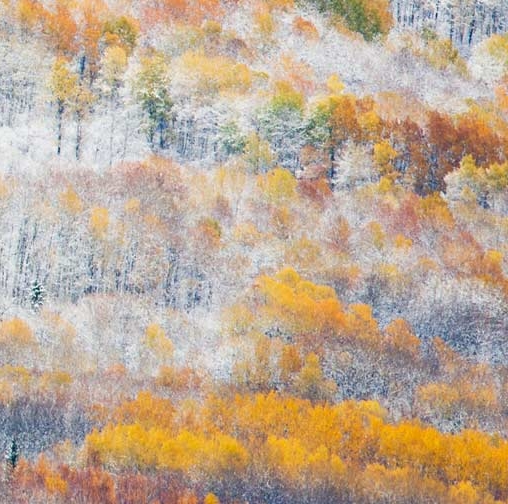 粉象生活邀请码