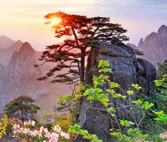 惠州粉象生活怎么样