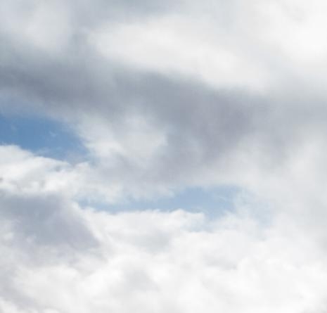 粉象生活淘宝官方客服