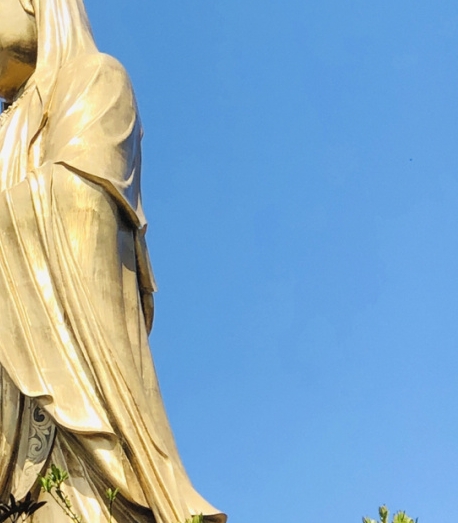 粉象生活做淘宝怎么样