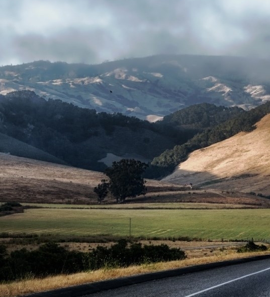 粉象生活的收益