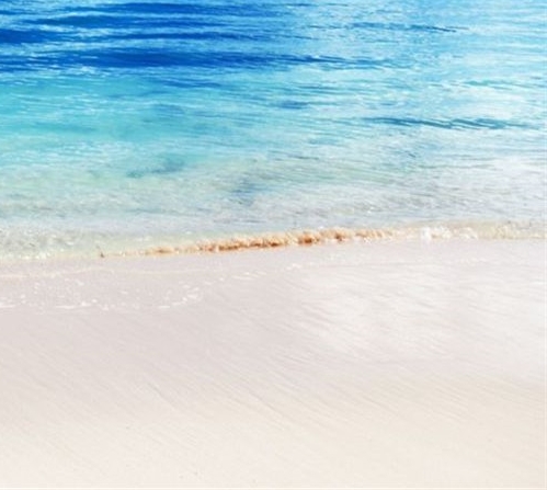 粉象生活是什么?