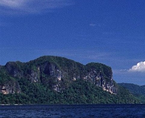 注册粉象生活有风险吗