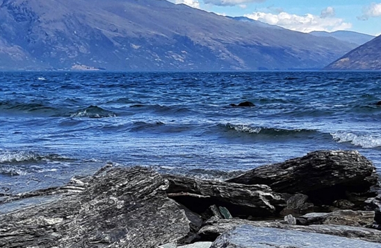 粉象生活手机端怎么开店