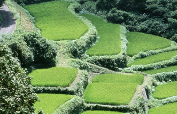 五象一站式生活购物中心