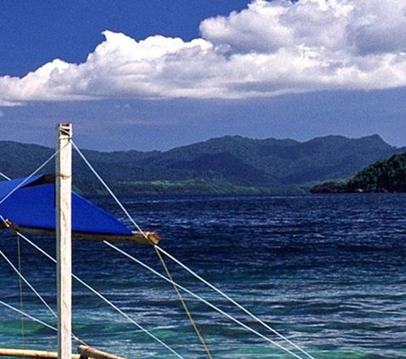 粉象生活怎么查找商品