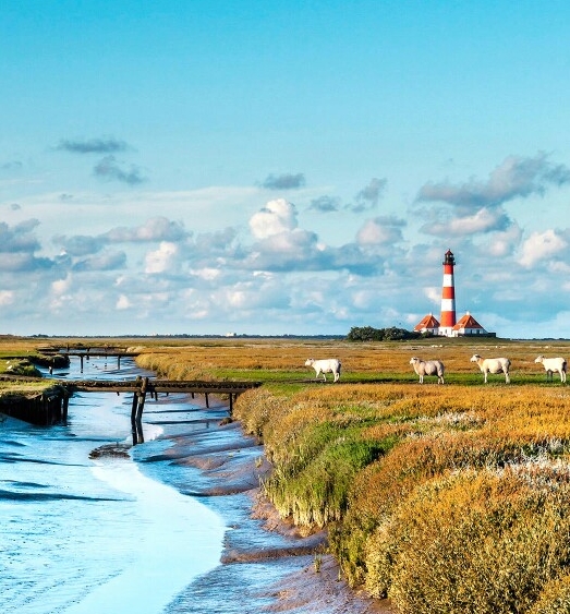 粉象生活需要做推广吗