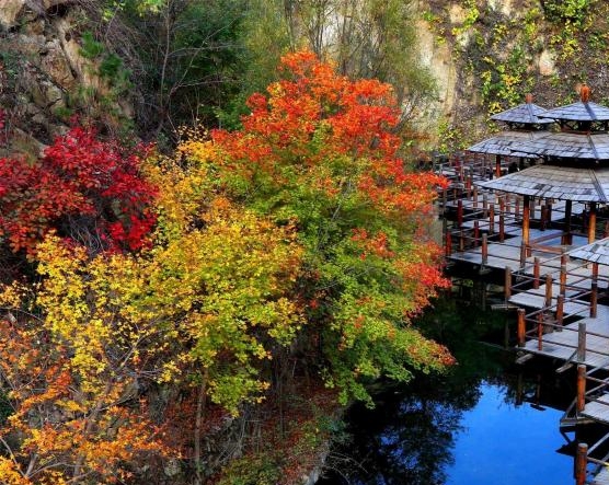 粉象生活怎么推广