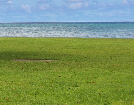 粉象生活是什么东西,真的靠谱吗