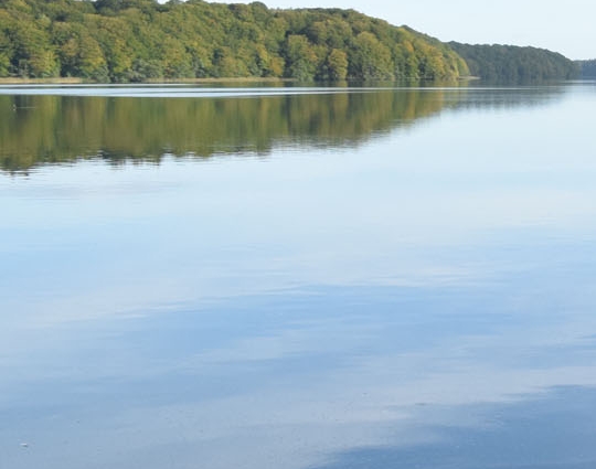 粉象生活邀请码