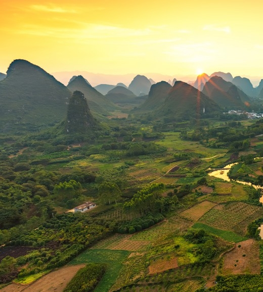 粉象生活加盟佣金