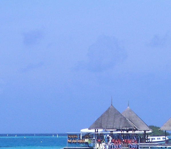 粉象生活哪个产品比较好