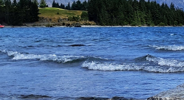 粉象生活下载app