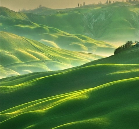 台州app粉象生活