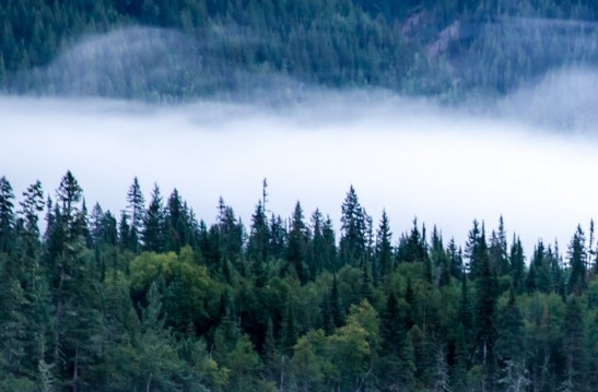 粉象生活什么时候开始推广的
