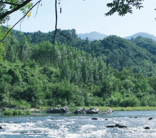 粉象生活推广吸粉