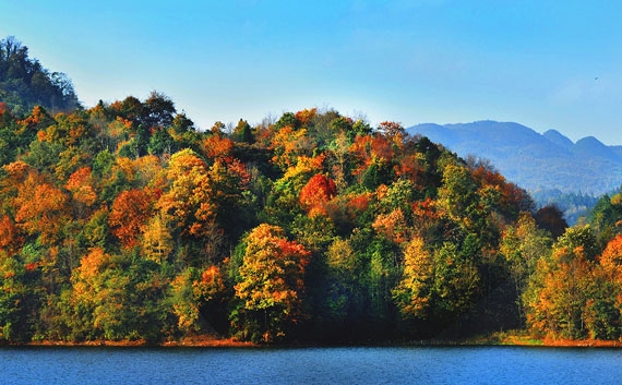 粉象官方邀请码是多少
