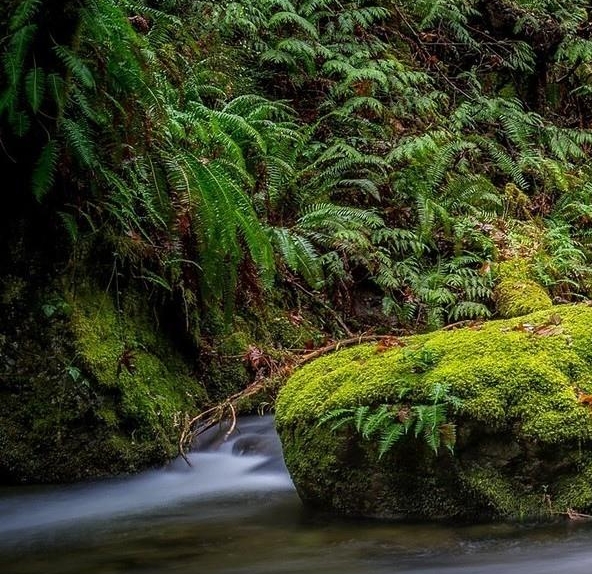 掌上生活邀请好友砍价