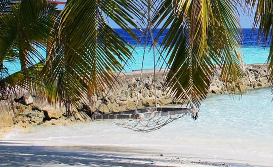 粉象生活有什么值得买的